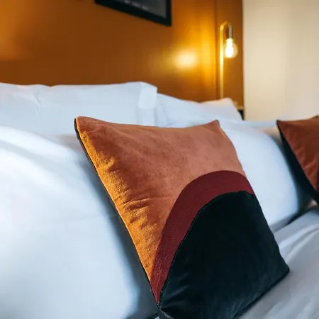 Oiqia • New Yorker * טולוז