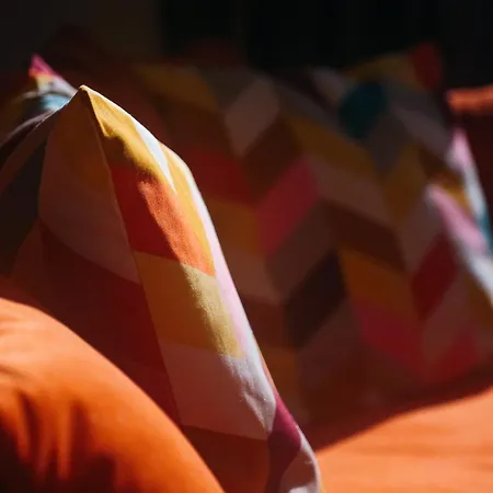 Oiqia • New Yorker