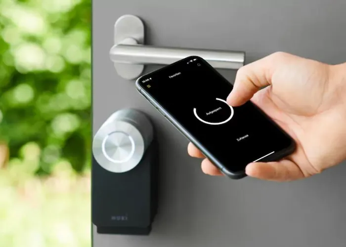 Oiqia • New Yorker