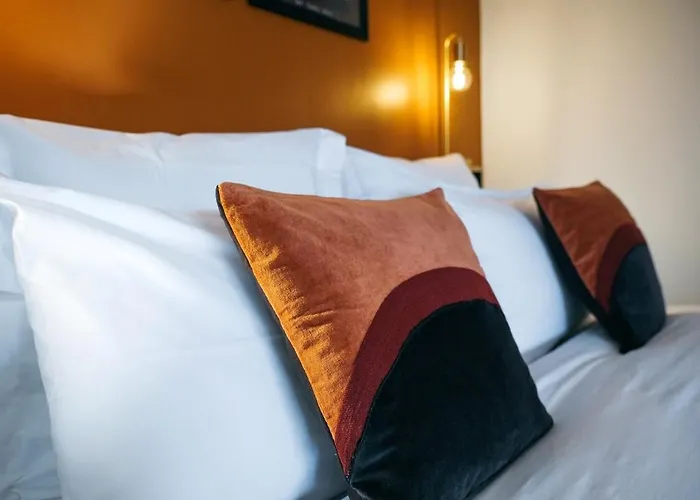 Oiqia • New Yorker * Tolosa