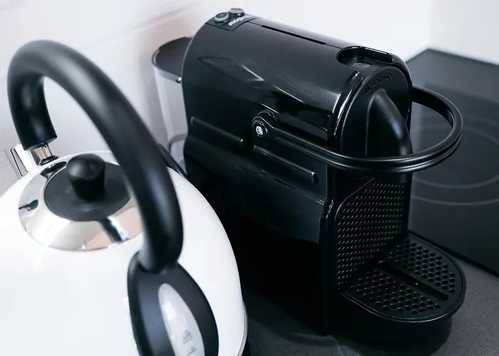 Oiqia • New Yorker Toulouse